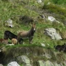 Giornata Avventura a Piode in Valsesia