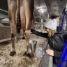 Laboratorio del Formaggio nel cuore delle Prealpi Orobiche