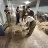 Laboratorio del Formaggio nel cuore delle Prealpi Orobiche