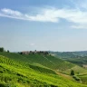 "Langhe Mystery Tour" in Vespa