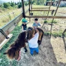 Lezione a cavallo di 1 ora vicino Livorno