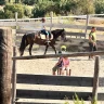 Lezione a cavallo di 1 ora vicino Livorno