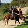 Lezione a cavallo di 1 ora vicino Livorno