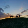 Lezione e Passeggiata a Cavallo vicino Pescara