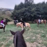 Lezione e Passeggiata a Cavallo vicino Pescara