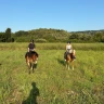 Lezione e Passeggiata a Cavallo vicino Pescara