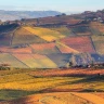 Mistery Tour nelle Langhe