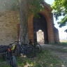 Moscato E-Bike Tour tra Langhe e Monferrato