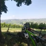 Moscato E-Bike Tour tra Langhe e Monferrato