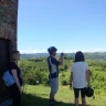 Moscato E-Bike Tour tra Langhe e Monferrato
