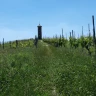 Moscato E-Bike Tour tra Langhe e Monferrato