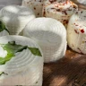 Mozzarella Experience con Degustazione vicino Ostuni