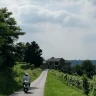 Nubilato o Celibato Escape in Vespa nelle Langhe