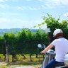Nubilato o Celibato Escape in Vespa nelle Langhe