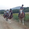 Passeggiata a Cavallo a Umbertide in Umbria