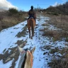 Passeggiata a Cavallo ad Arezzo
