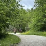 Passeggiata a Cavallo ad Arezzo