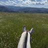 Passeggiata a Cavallo ad Arezzo