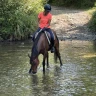Passeggiata a Cavallo ad Arezzo