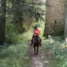 Passeggiata a Cavallo ad Arezzo
