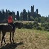 Passeggiata a Cavallo ad Arezzo
