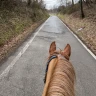 Passeggiata a Cavallo ad Arezzo