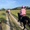 Passeggiata a Cavallo al Lago di Viverone nel Canavese