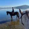 Passeggiata a Cavallo al Lago di Viverone nel Canavese