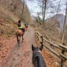 Passeggiata a Cavallo al Lago Moro in Val Camonica