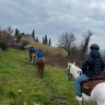 Passeggiata a Cavallo con Aperitivo vicino Firenze