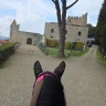 Passeggiata a Cavallo con Aperitivo vicino Firenze