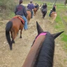 Passeggiata a Cavallo con Aperitivo vicino Firenze