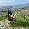 Passeggiata a Cavallo con Aperitivo vicino Firenze