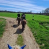 Passeggiata a Cavallo e Lezione di Yoga nel Parco del Ticino