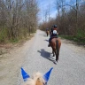 Passeggiata a Cavallo e Lezione di Yoga nel Parco del Ticino