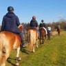 Passeggiata a Cavallo e Lezione di Yoga nel Parco del Ticino