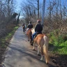 Passeggiata a Cavallo e Lezione di Yoga nel Parco del Ticino