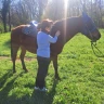 Passeggiata a Cavallo e Lezione di Yoga nel Parco del Ticino
