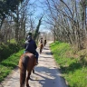 Passeggiata a Cavallo e Lezione di Yoga nel Parco del Ticino