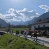 Passeggiata a Cavallo in Trentino Alto Adige vicino Trento