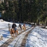 Passeggiata a Cavallo in Trentino Alto Adige vicino Trento