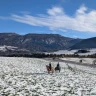 Passeggiata a Cavallo in Trentino Alto Adige vicino Trento