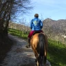 Passeggiata a Cavallo in Trentino Alto Adige vicino Trento