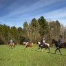 Passeggiata a Cavallo in Trentino Alto Adige vicino Trento