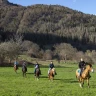 Passeggiata a Cavallo in Trentino Alto Adige vicino Trento