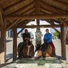 Passeggiata a Cavallo in Trentino Alto Adige vicino Trento