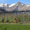Passeggiata a Cavallo in Trentino Alto Adige vicino Trento