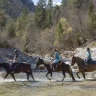 Passeggiata a Cavallo in Trentino Alto Adige vicino Trento
