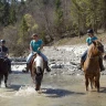 Passeggiata a Cavallo in Trentino Alto Adige vicino Trento