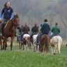 Passeggiata a Cavallo nel Parco dello Stirone